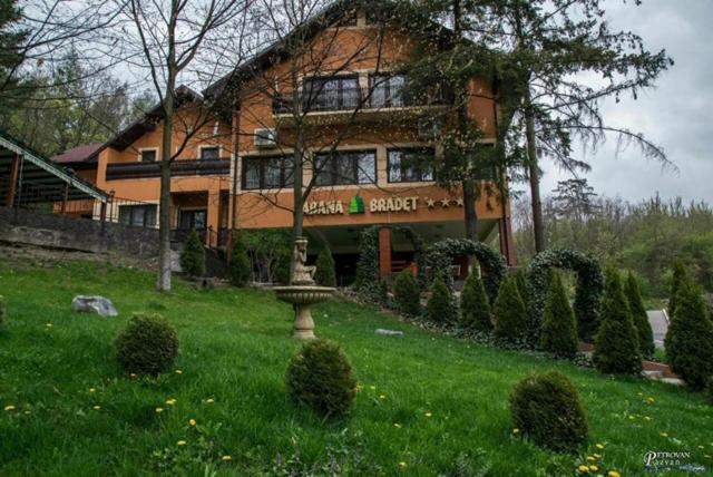 Pensiunea Turistica Cabana Bradet Şimleu Silvaniei Dış mekan fotoğraf
