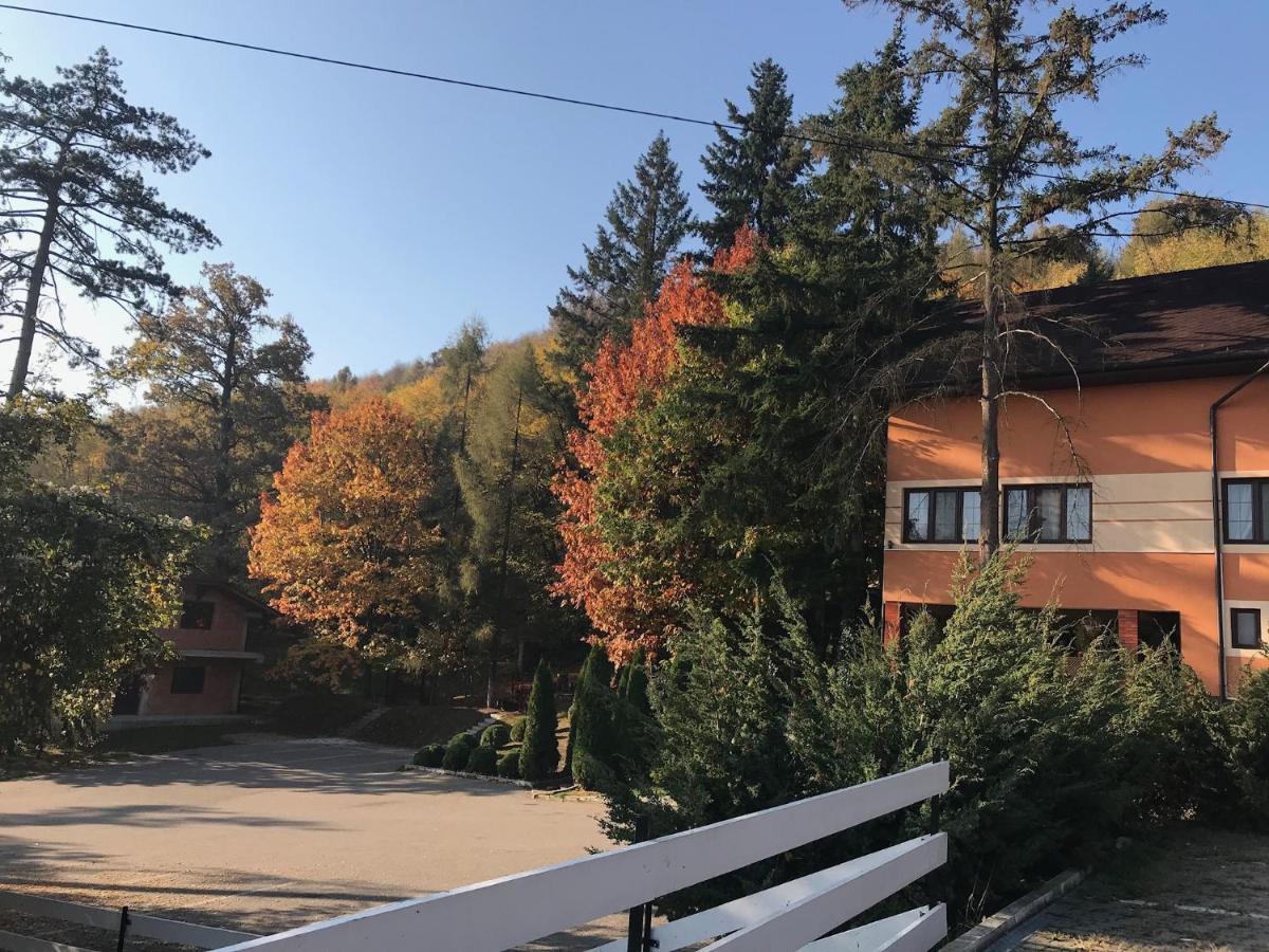 Pensiunea Turistica Cabana Bradet Şimleu Silvaniei Dış mekan fotoğraf